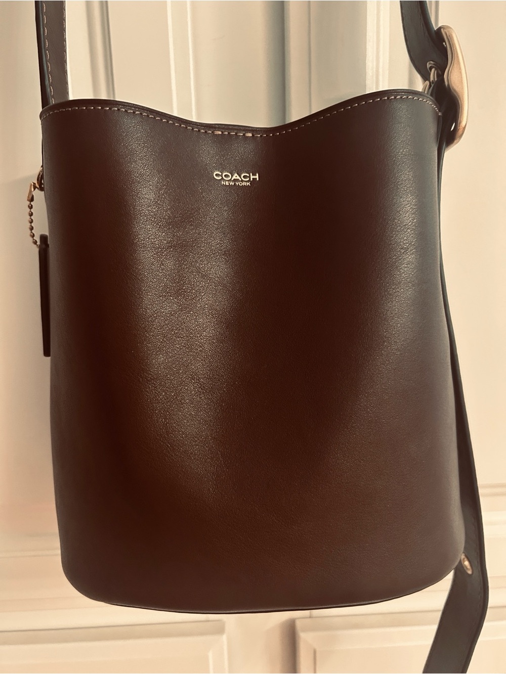 Coach Bleeker Bucket Bag 21 Tote in Maple